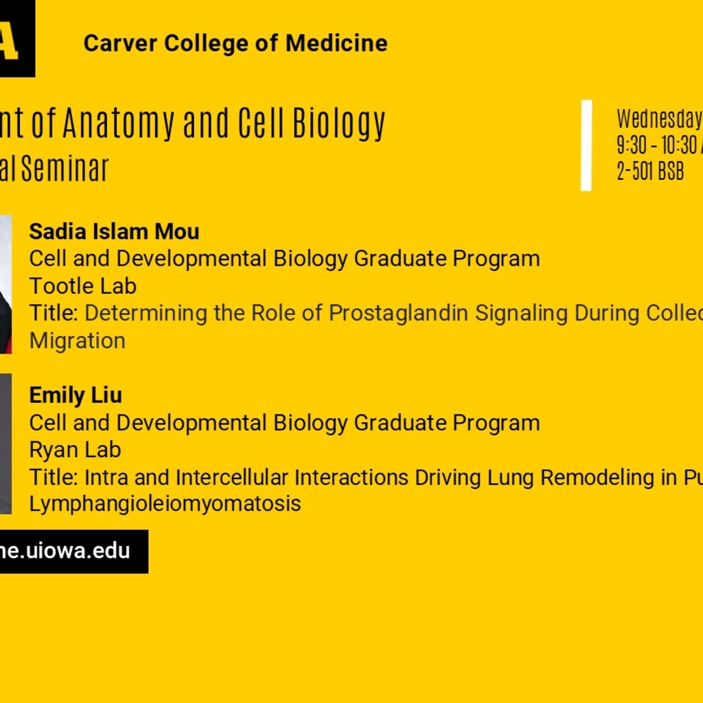 ACB Seminar Series - Sadia Islam Mou & Emily Liu  promotional image