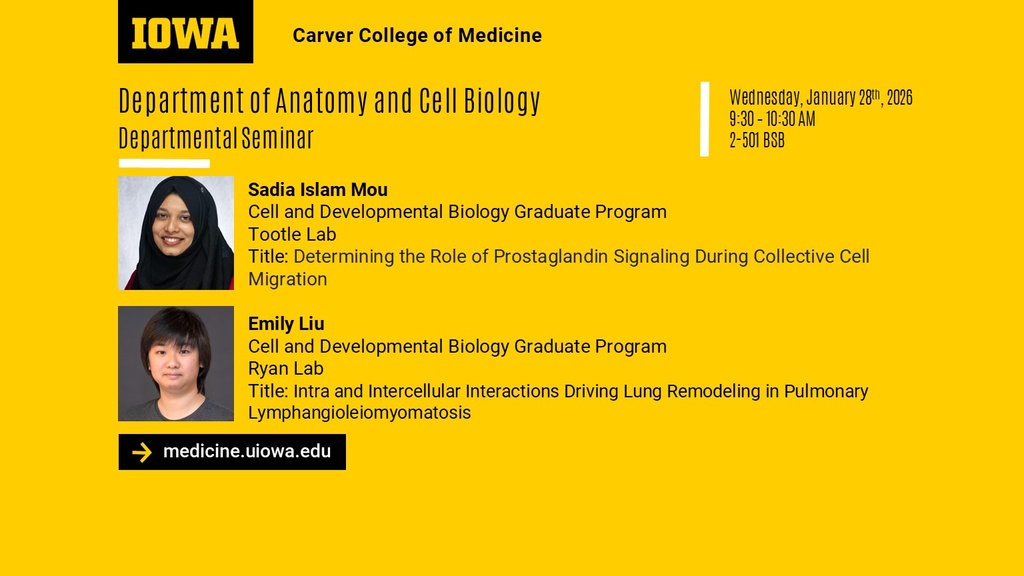 ACB Seminar Series - Sadia Islam Mou & Emily Liu  promotional image