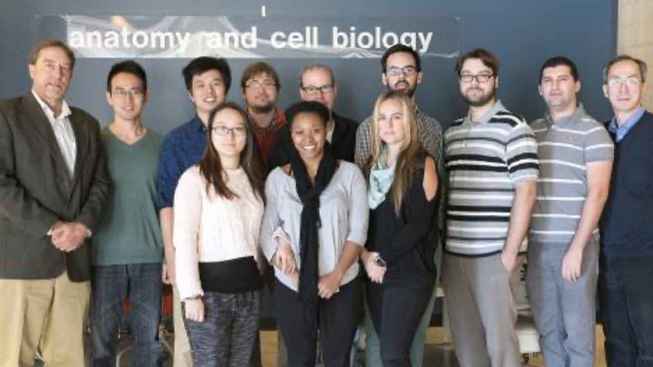 Amendt Lab